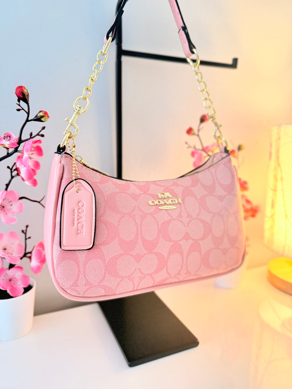 Pink Teri