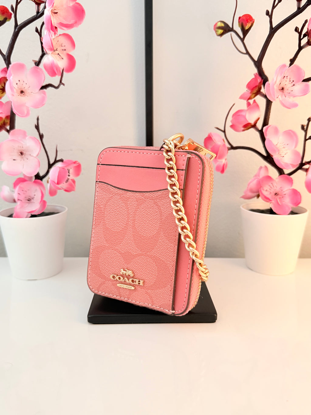 Zip Card Case Wallet