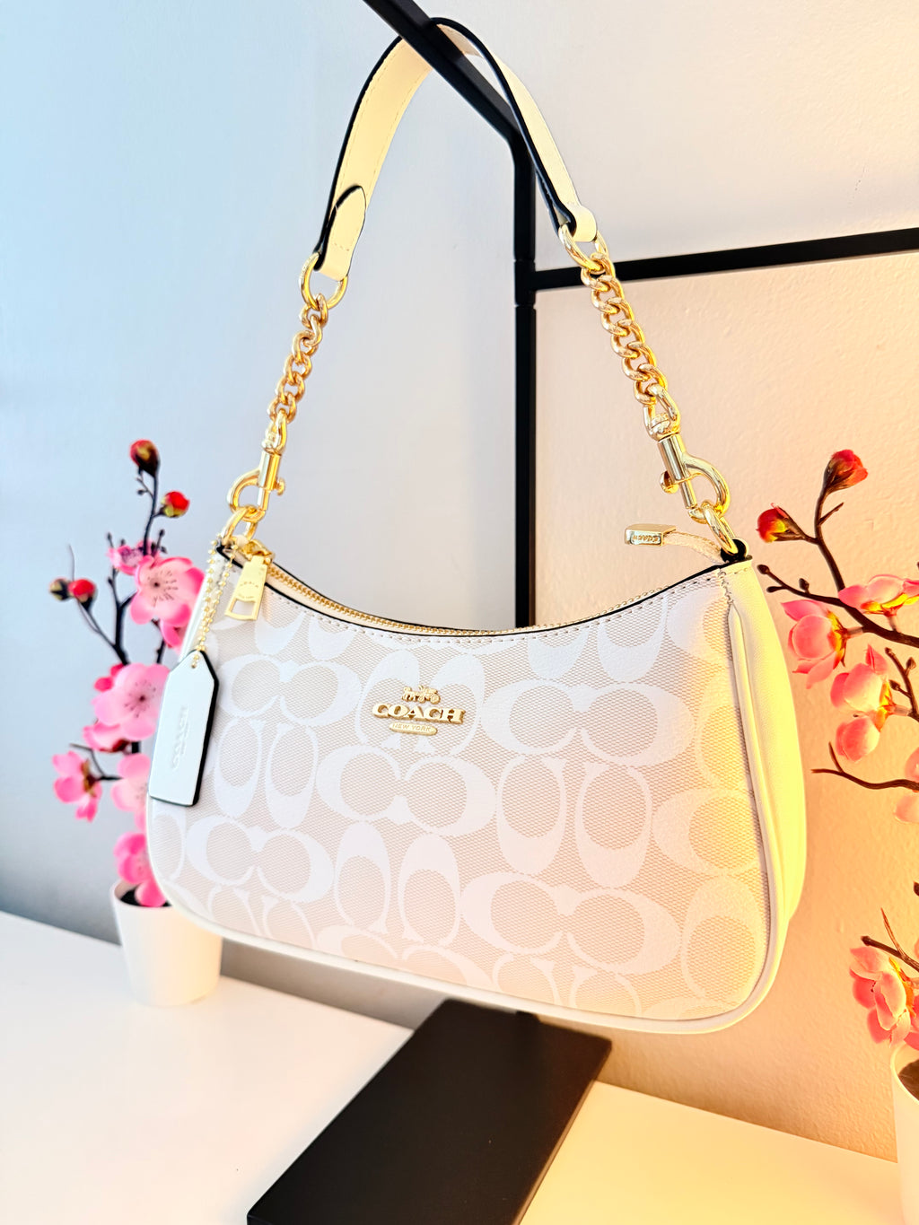 Teri White Bag