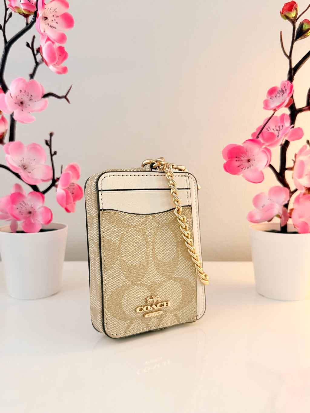 Zip Card Case Wallet
