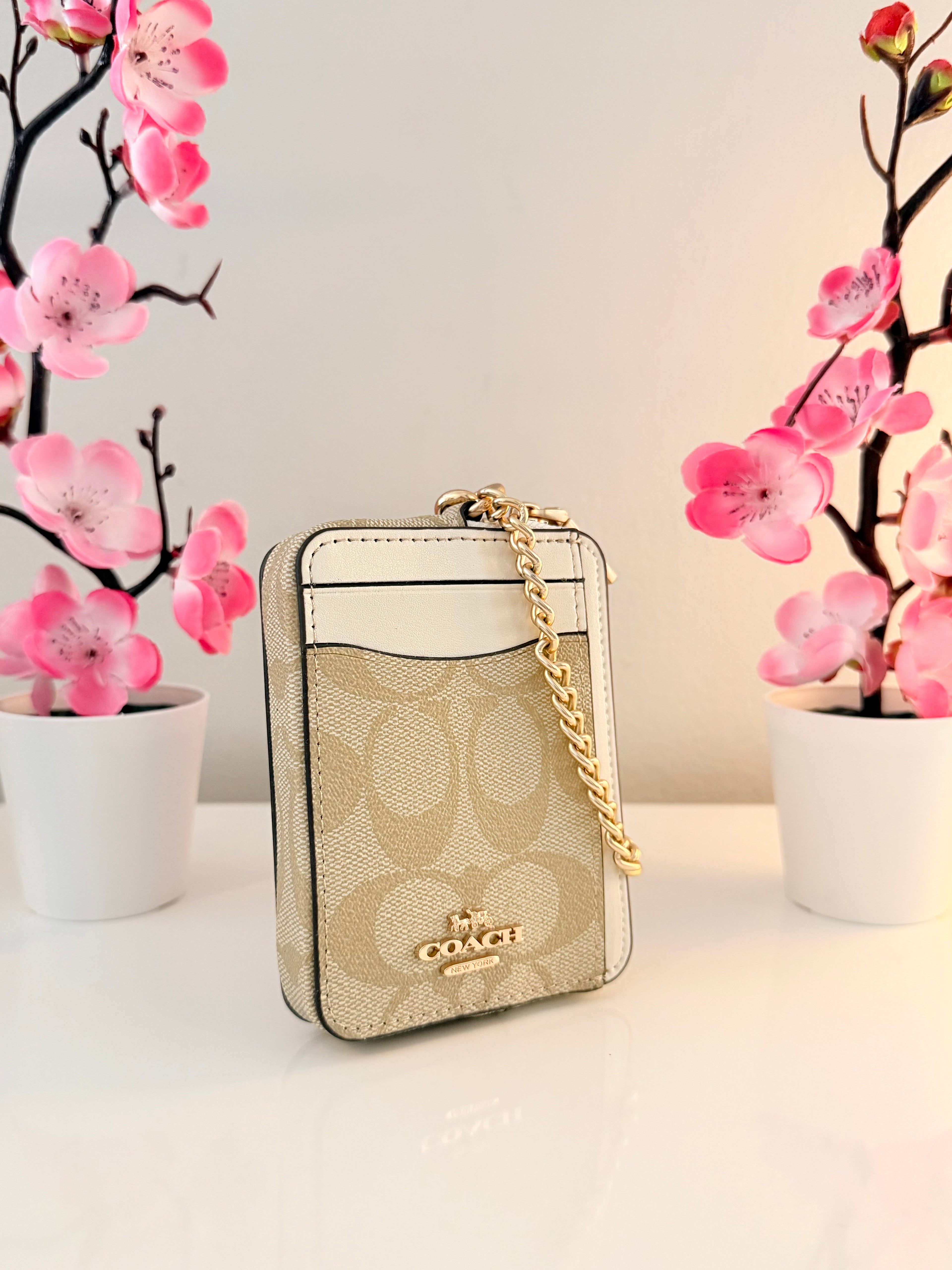 Zip Card Case Wallet